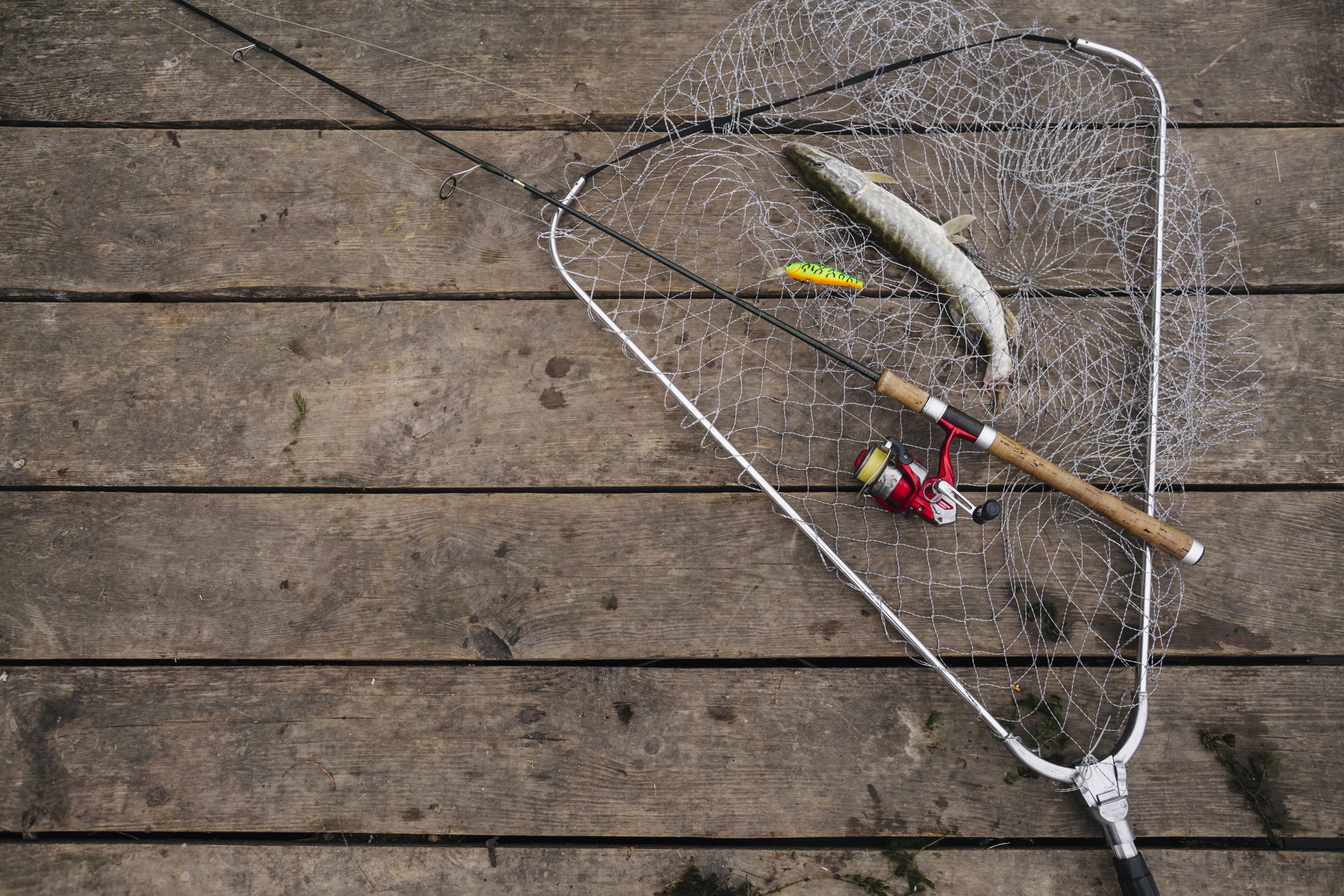 immagine rete e canna da pesca