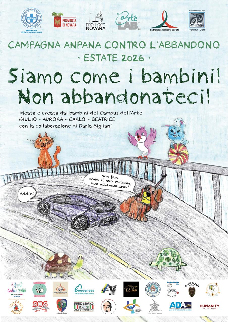 Immagine anteprima
